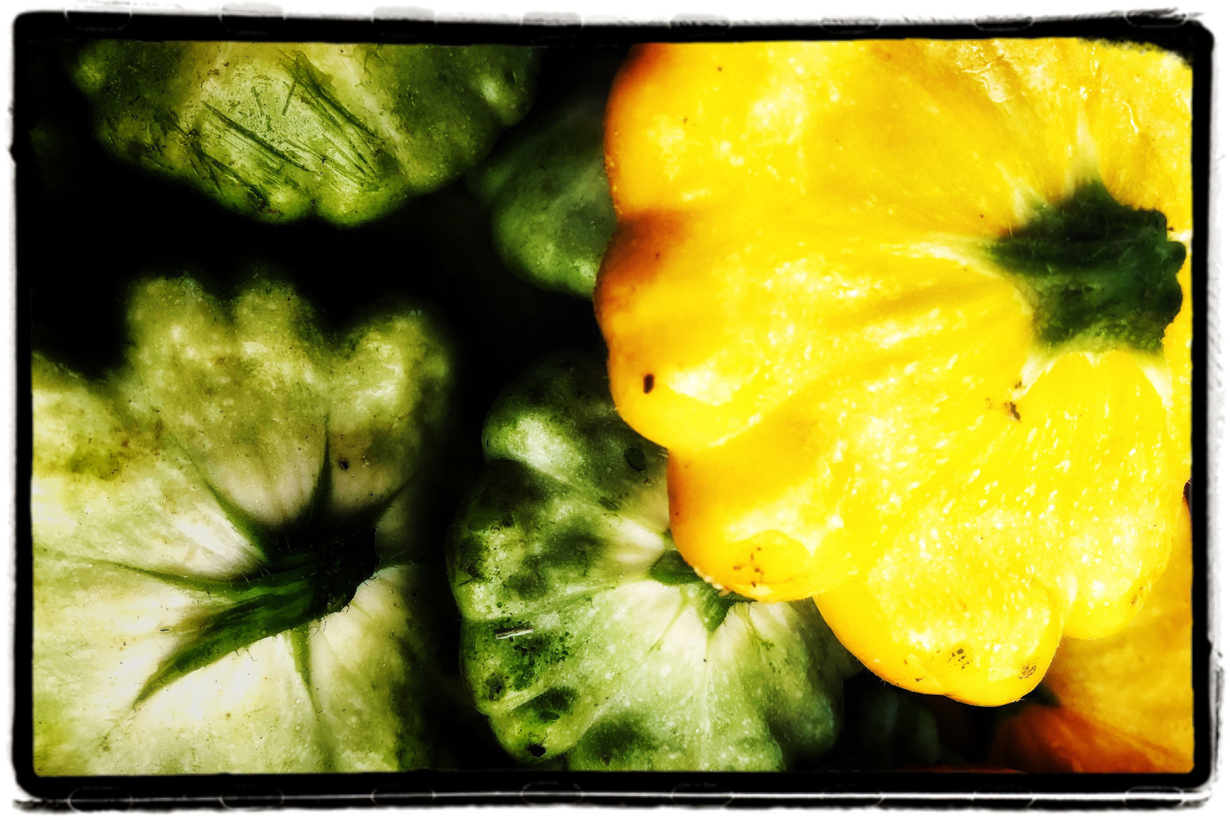 Farmers Market Produce